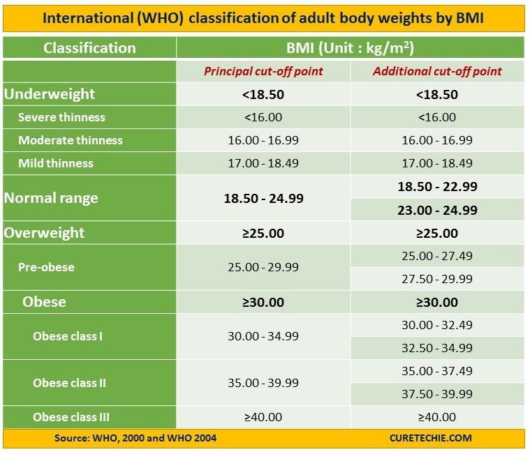 Body Mass Index and Body Fat | Wellness Advice and Products