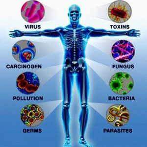 human body immunity