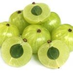 Amla Indian gooseberry vitamic c fruit immunity