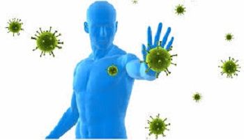 body immunity to fight virus infection viral